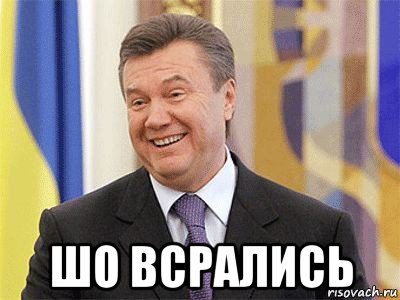  шо всрались, Мем Янукович