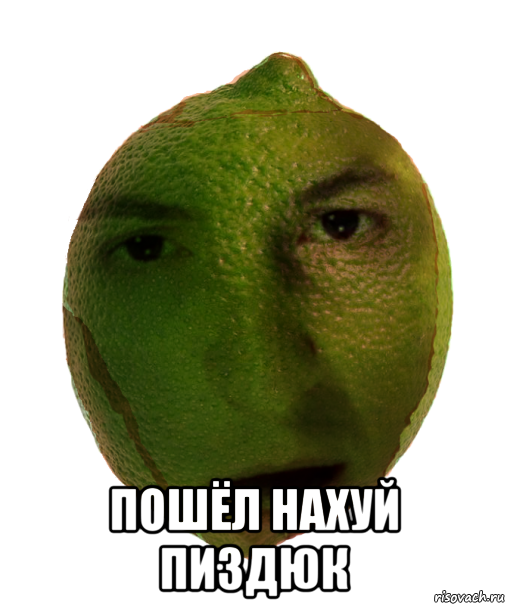  пошёл нахуй пиздюк