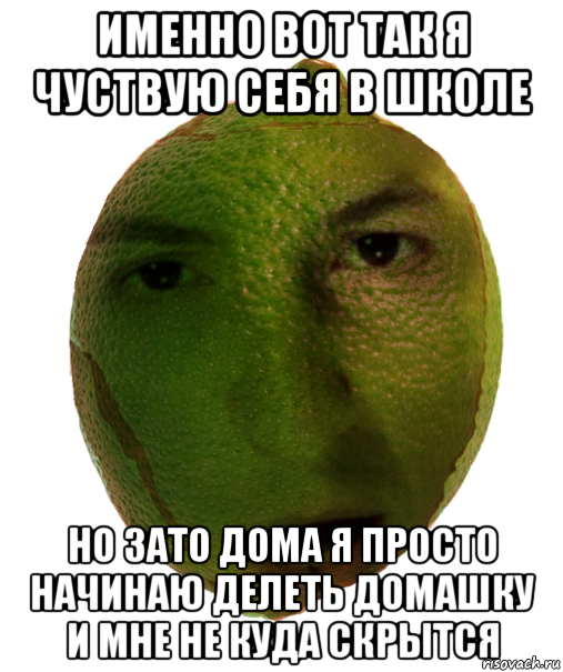именно вот так я чуствую себя в школе но зато дома я просто начинаю делеть домашку и мне не куда скрытся