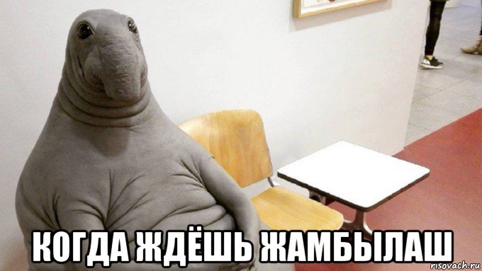  когда ждёшь жамбылаш