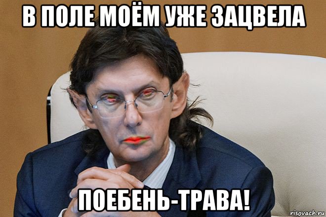 в поле моём уже зацвела поебень-трава!, Мем Зомбонид Гуммоноидович Колдун