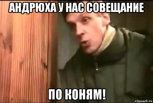андрюха у нас совещание по коням!