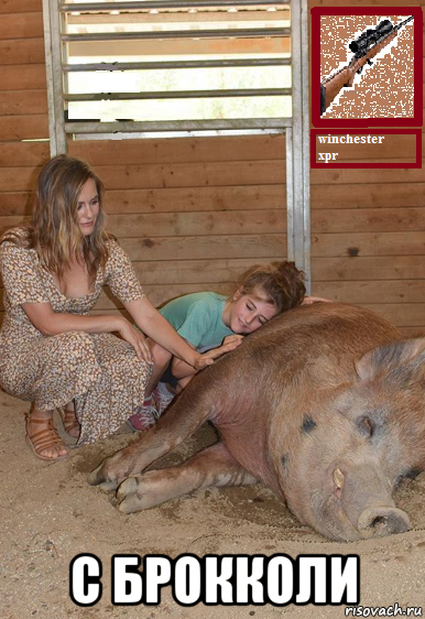  с брокколи, Мем Alicia silverstone