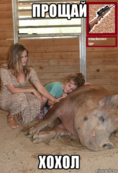 прощай хохол, Мем Alicia silverstone