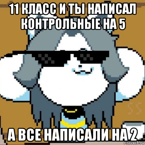11 класс и ты написал контрольные на 5 а все написали на 2