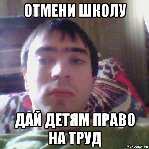 отмени школу дай детям право на труд, Мем Андрей Виноградов