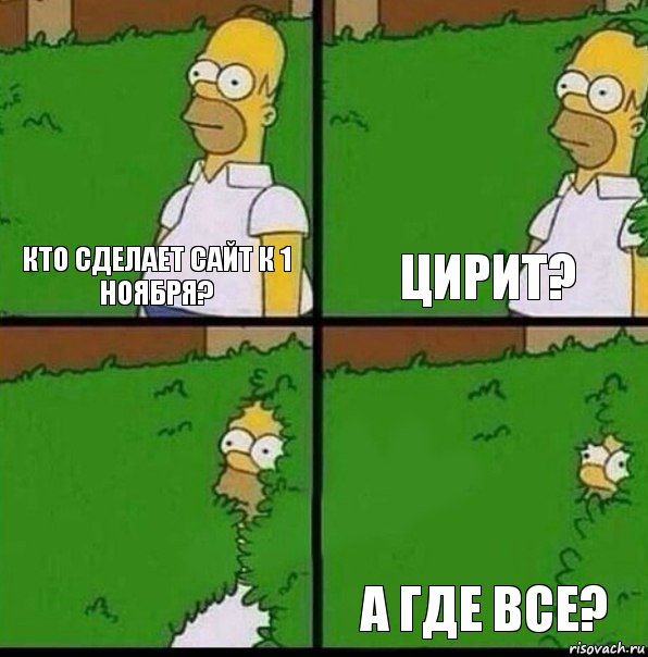 Кто сделает сайт к 1 ноября? ЦИРИТ?  А где все?, Комикс Гомер спрятался в кусты