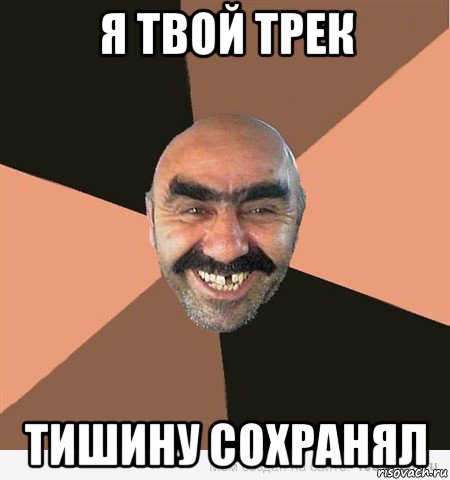 я твой трек тишину сохранял, Мем ашот