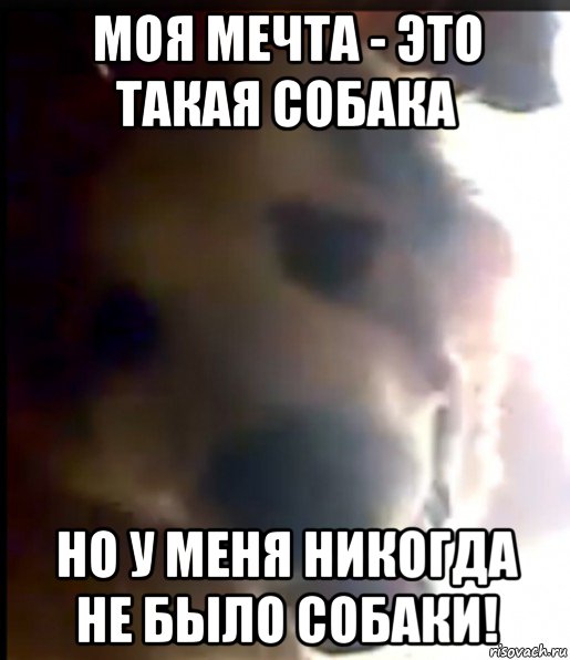 моя мечта - это такая собака но у меня никогда не было собаки!, Мем Баря