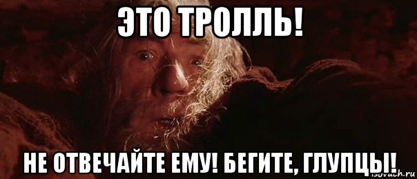 это тролль! не отвечайте ему! бегите, глупцы!, Мем бегите глупцы