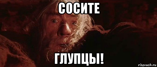 сосите глупцы!