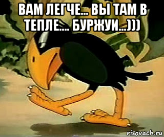 вам легче... вы там в тепле.... буржуи...))) , Мем Bird Myna