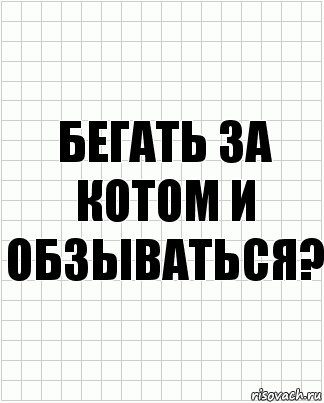 бегать за котом и обзываться?