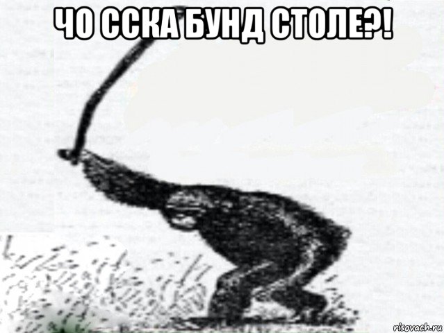 чо сска бунд столе?! 