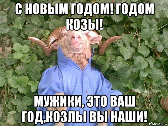 с новым годом! годом козы! мужики, это ваш год,козлы вы наши!