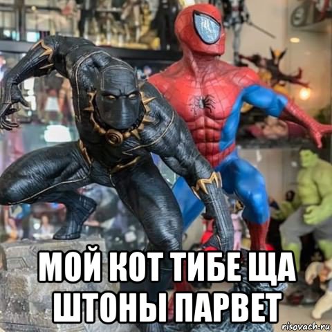  мой кот тибе ща штоны парвет, Мем Человек паук