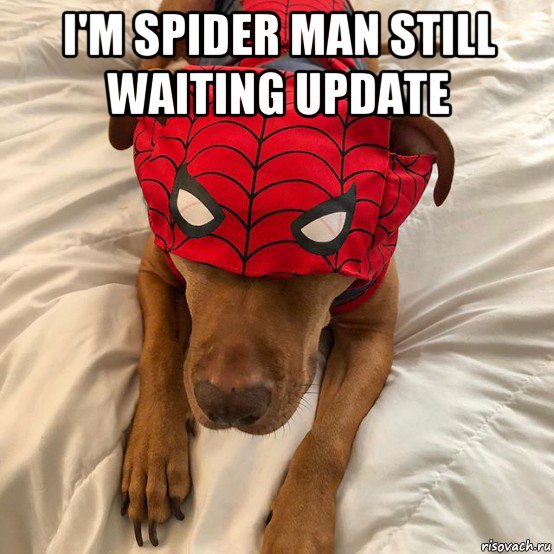 i'm spider man still waiting update , Мем Человек паук