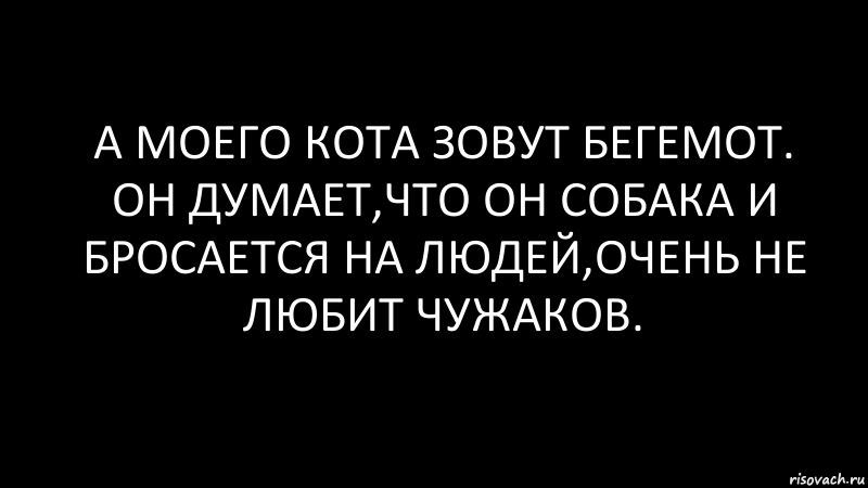 А моего кота зовут Бегемот. Он думает,что он собака и бросается на людей,очень не любит чужаков., Комикс Черный фон