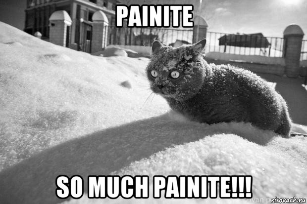 painite so much painite!!!