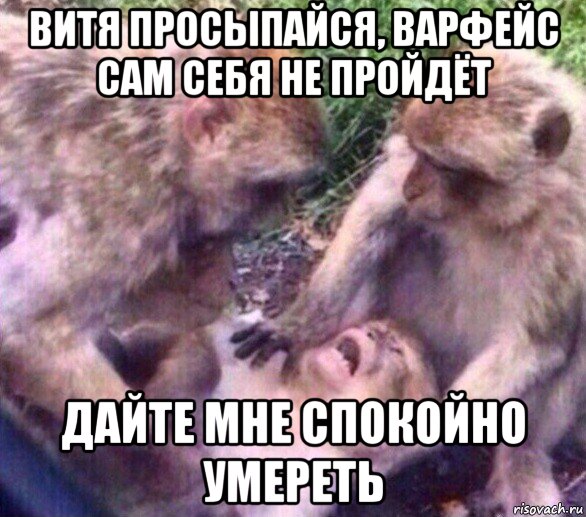 витя просыпайся, варфейс сам себя не пройдёт дайте мне спокойно умереть