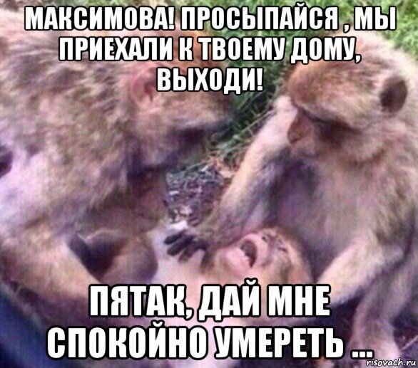 максимова! просыпайся , мы приехали к твоему дому, выходи! пятак, дай мне спокойно умереть ...