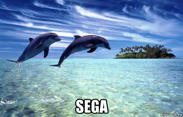  sega, Мем Дельфины
