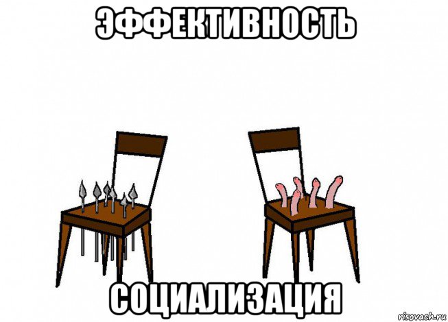 эффективность социализация