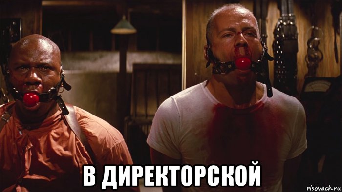  в директорской, Мем Две мухи