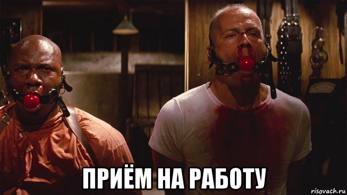  приём на работу, Мем Две мухи