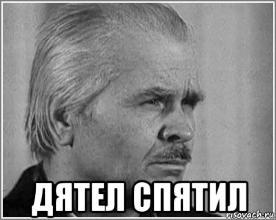  дятел спятил