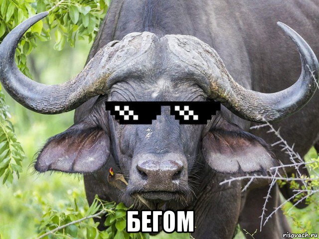  бегом, Мем Джон