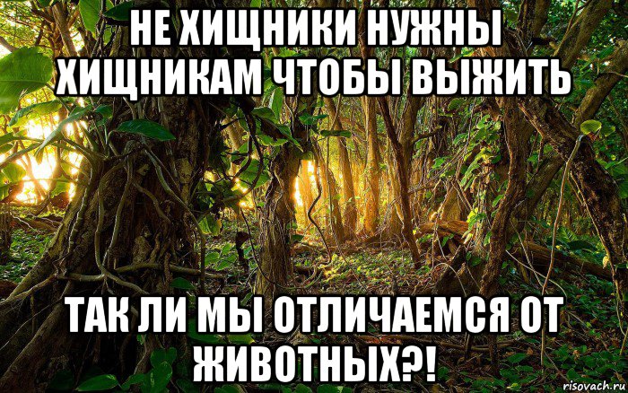 не хищники нужны хищникам чтобы выжить так ли мы отличаемся от животных?!, Мем Джунгли
