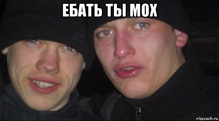 ебать ты мох , Мем Ебать ты лох