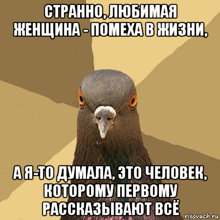 странно, любимая женщина - помеха в жизни, а я-то думала, это человек, которому первому рассказывают всё, Мем голубь