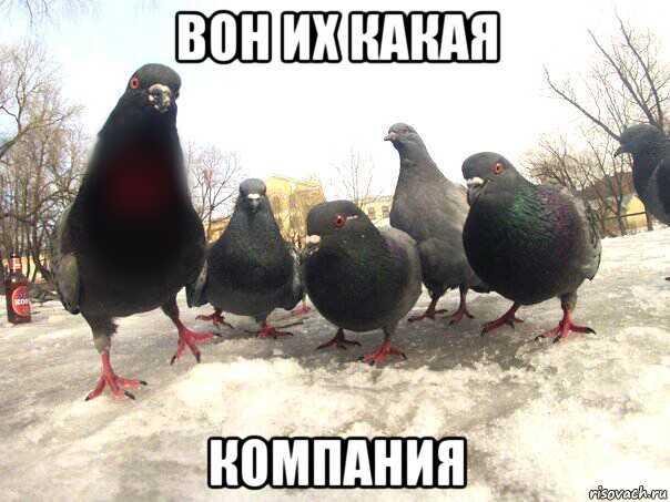 вон их какая компания