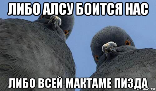 либо алсу боится нас либо всей мактаме пизда