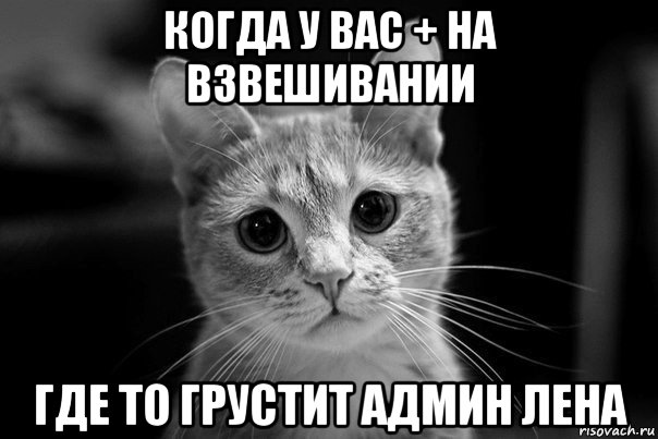 когда у вас + на взвешивании где то грустит админ лена