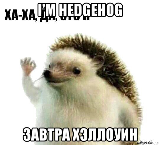 i'm hedgehog завтра хэллоуин, Мем Ха-ха да это я