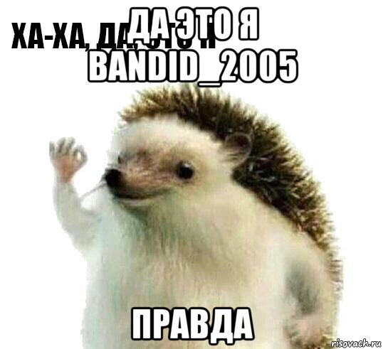 да это я bandid_2005 правда, Мем Ха-ха да это я