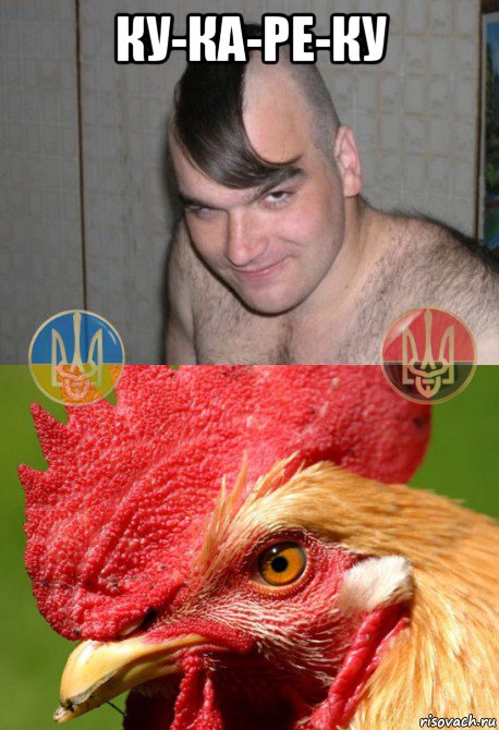 ку-ка-ре-ку , Мем ХОХЛОГРЕБЕНЬ
