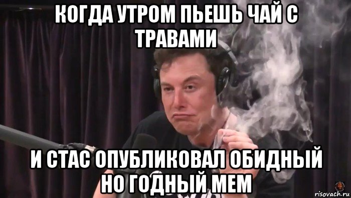 когда утром пьешь чай с травами и стас опубликовал обидный но годный мем, Мем Илон Маск