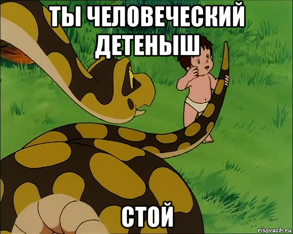 ты человеческий детеныш стой