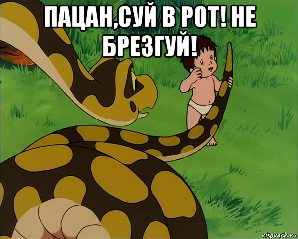 пацан,суй в рот! не брезгуй! 