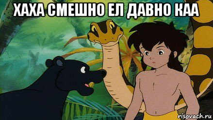 хаха смешно ел давно каа 