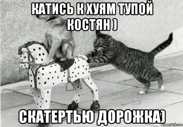 катись к хуям тупой костян ) скатертью дорожка), Мем Катись к хуям
