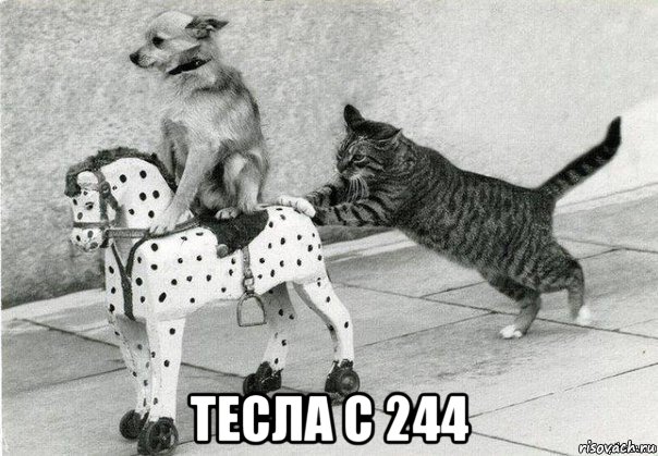  тесла с 244