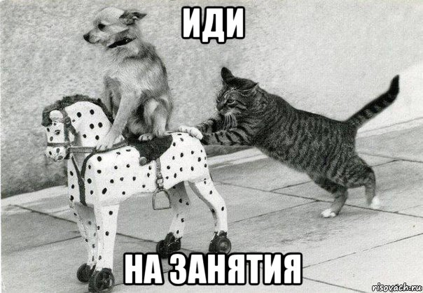 иди на занятия
