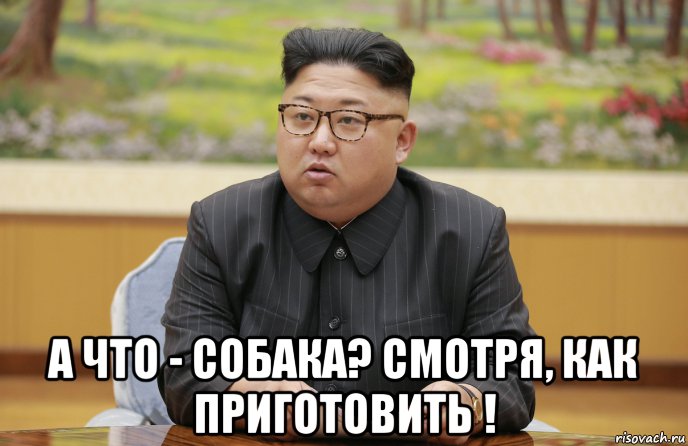  а что - собака? смотря, как приготовить !, Мем Ким чен ын