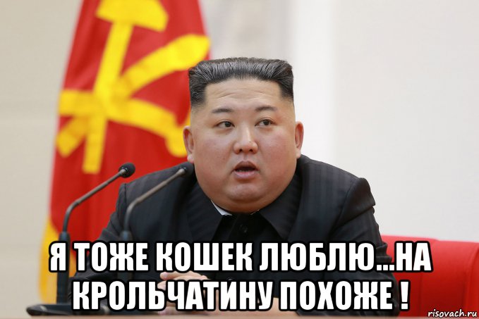  я тоже кошек люблю...на крольчатину похоже !, Мем Ким чен ын