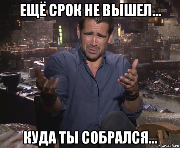 ещё срок не вышел... куда ты собрался...